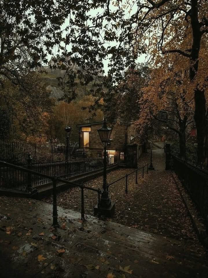 Nature & Human tweet media