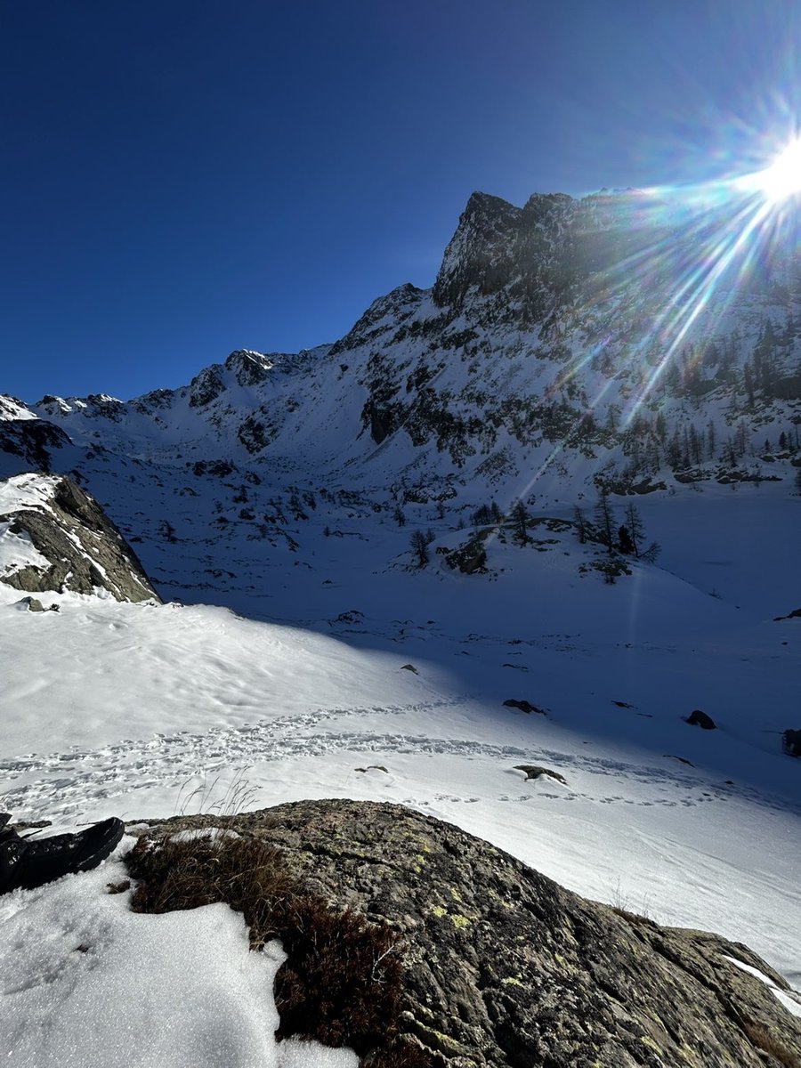 Messi Goat🇵🇸🇩🇿 tweet media