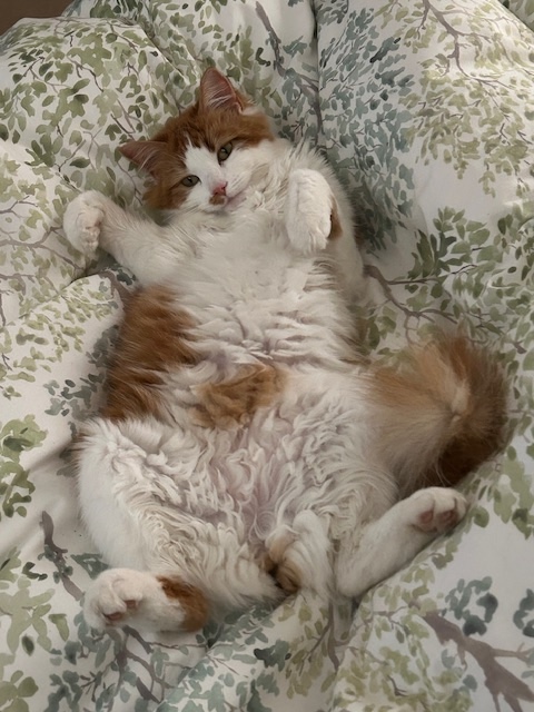 Phil Taylor tweet media