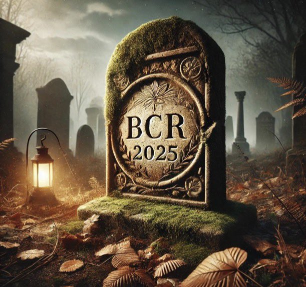 Diego Barreiro tweet media