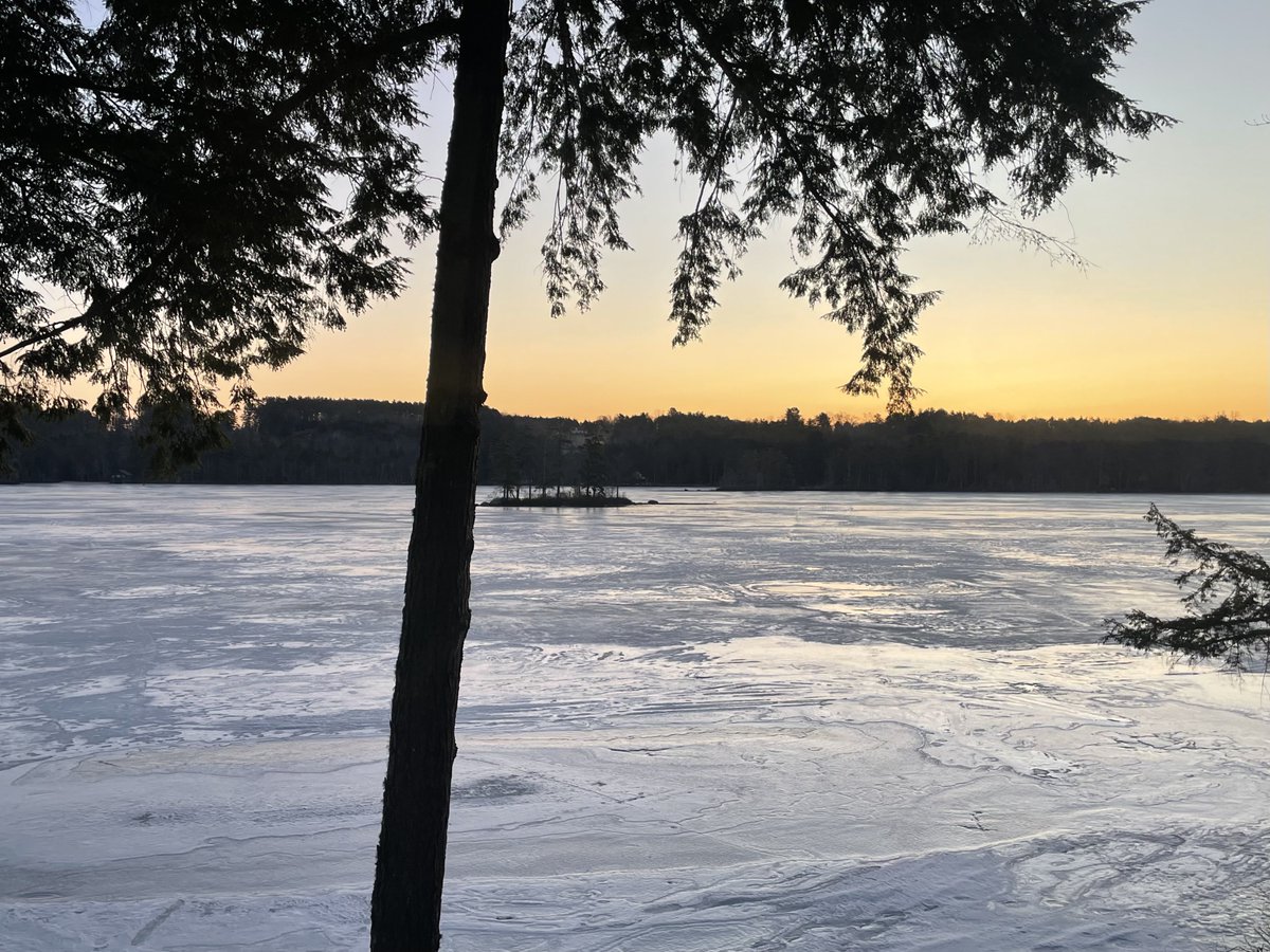 Dana Full On Maine tweet media