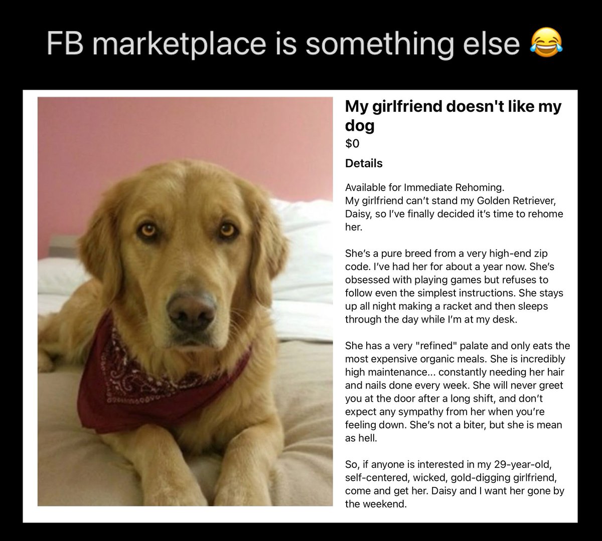 Men's Humor tweet media