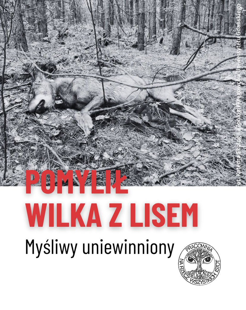 Pracownia Bystra tweet media