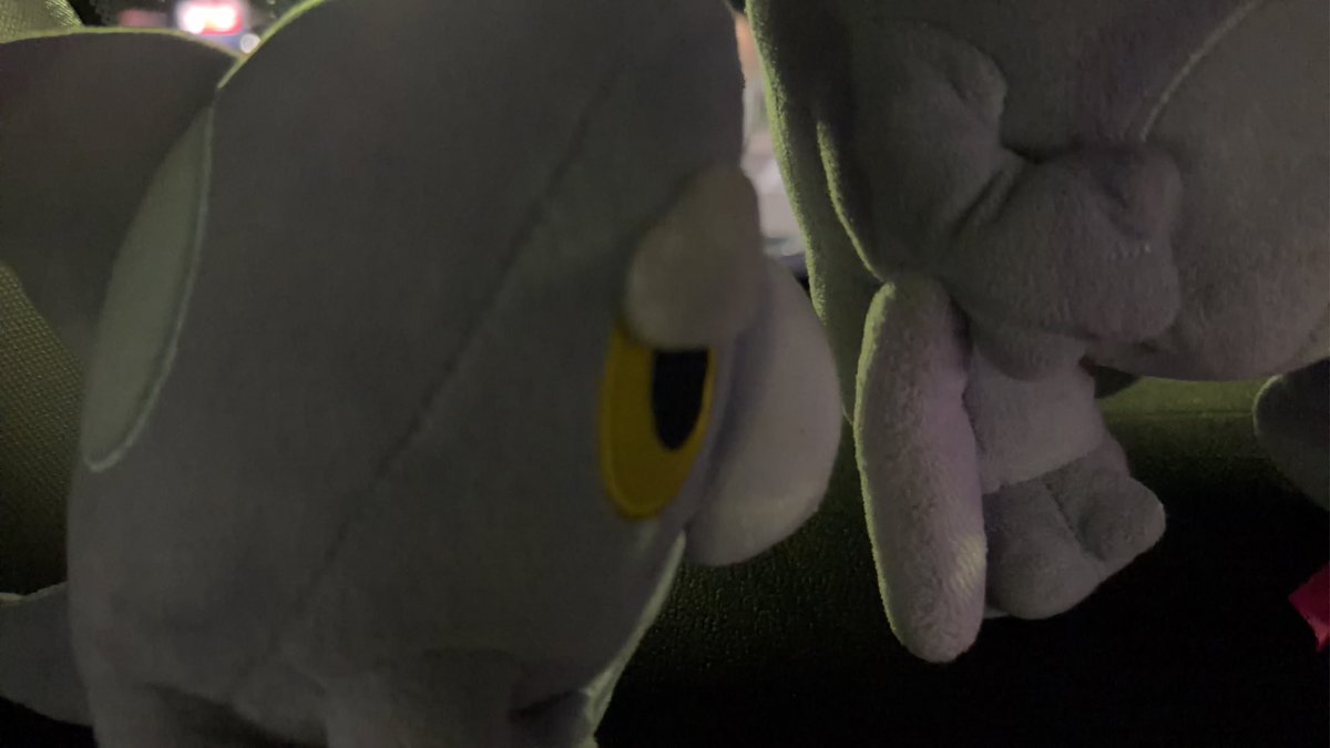 セビにっき tweet media