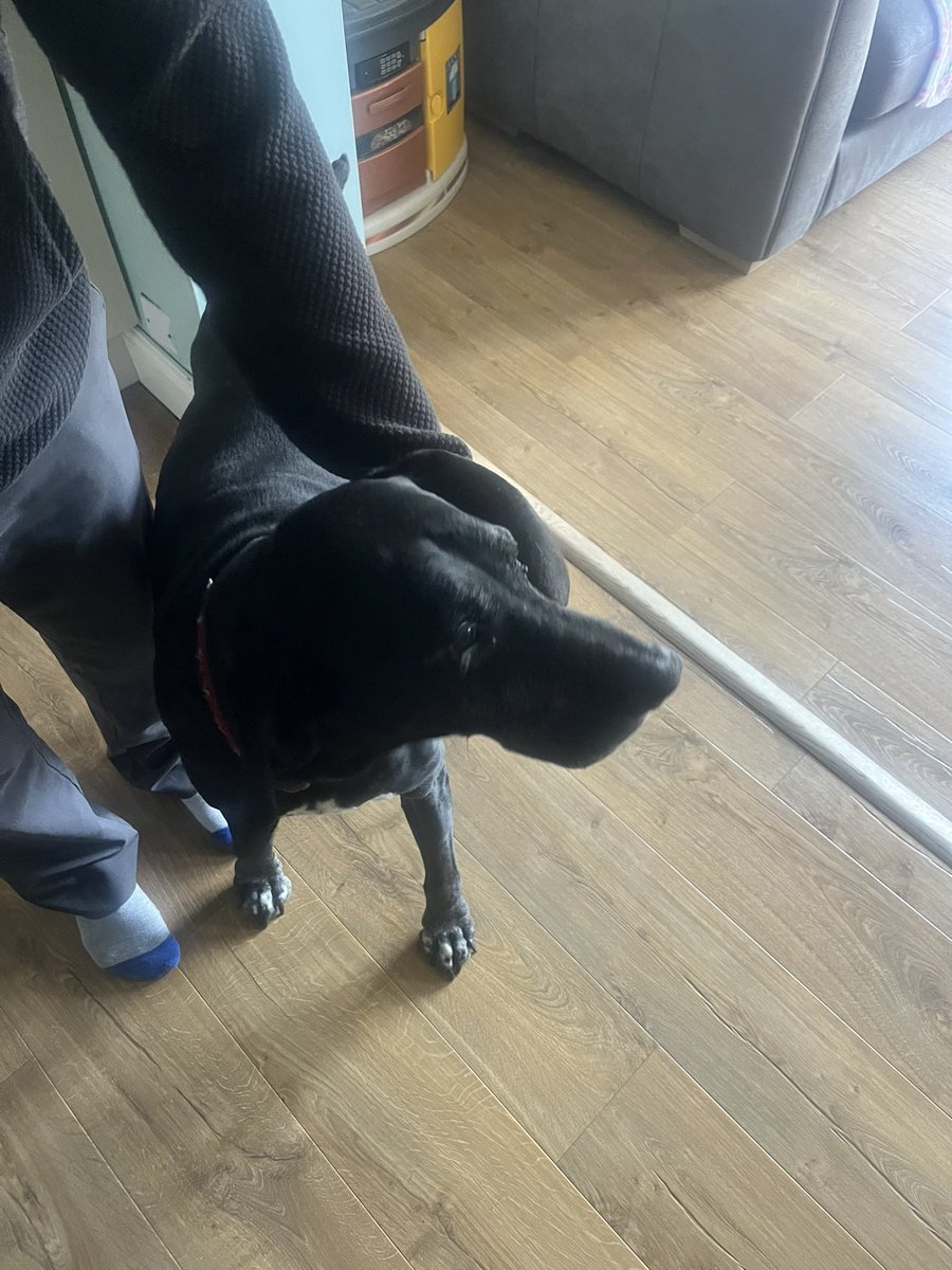 Lucy Connolly tweet media