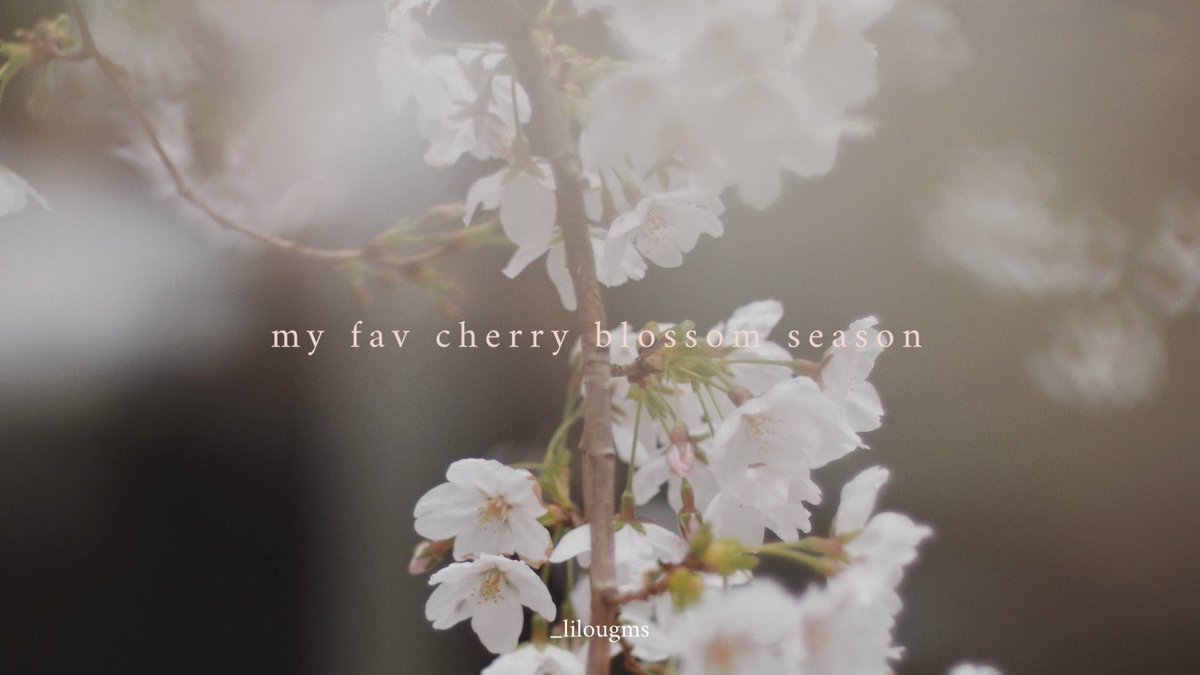 𝔢𝔪𝔦𝔠 . tweet media