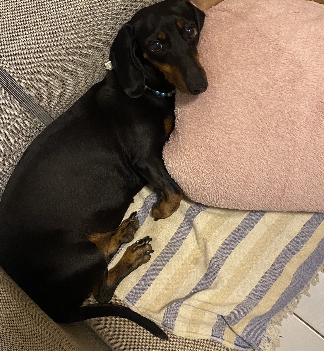 𝗅𝗂𝗓𝗓𝗂𝖾 🥦 tweet media