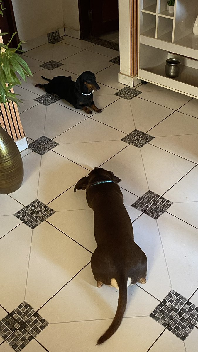 𝗅𝗂𝗓𝗓𝗂𝖾 🥦 tweet media