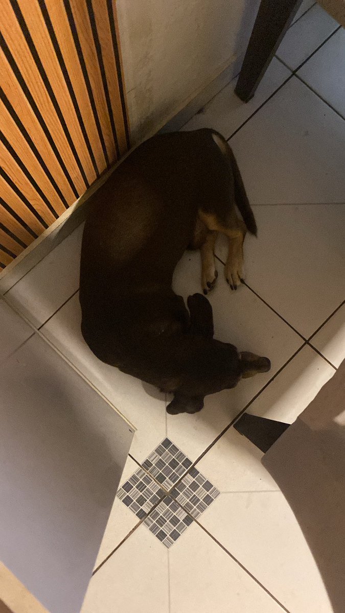 𝗅𝗂𝗓𝗓𝗂𝖾 🥦 tweet media