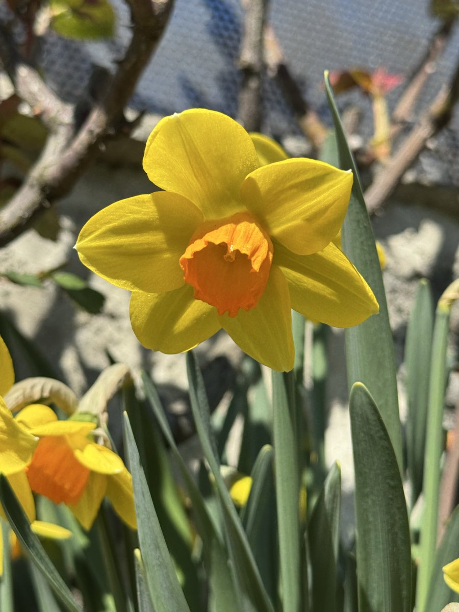 stefano 🏳️‍🌈 tweet media