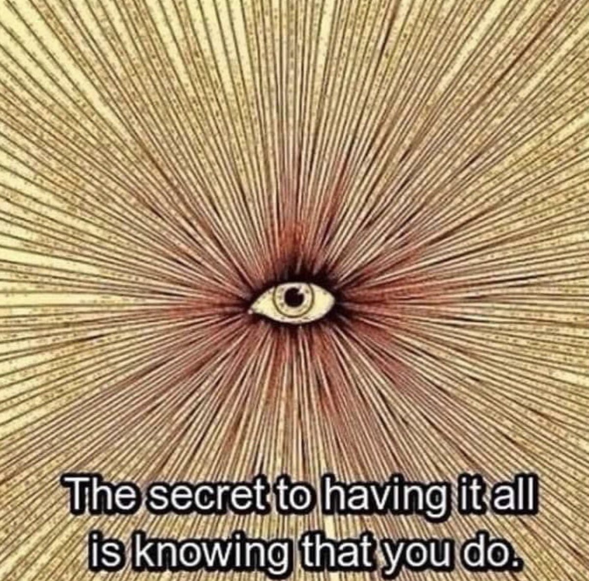 Catbrah ⛩️ tweet media