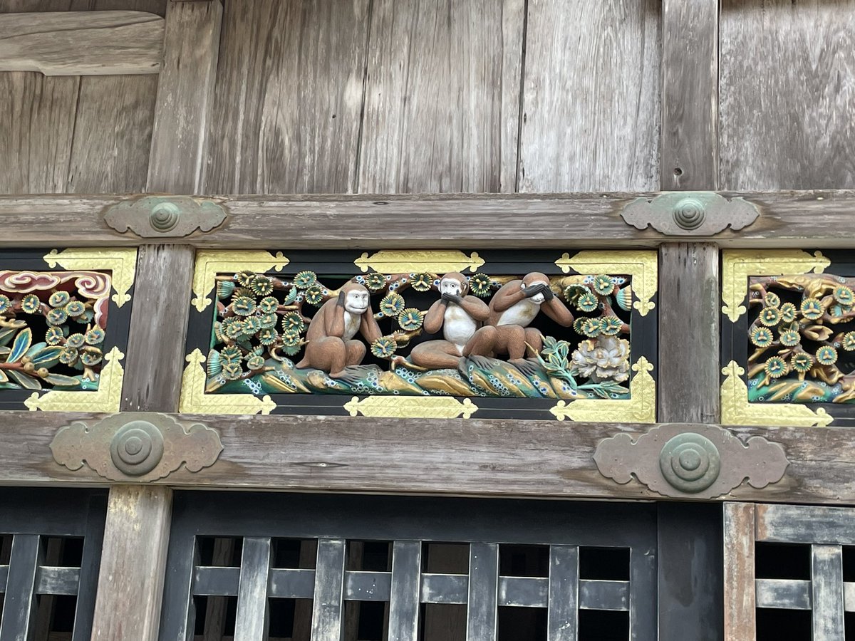 もちもちのもちちゃんねる tweet media