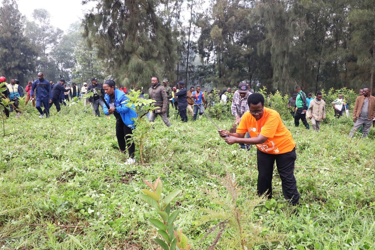 Rwanda Broadcasting Agency (RBA) tweet media