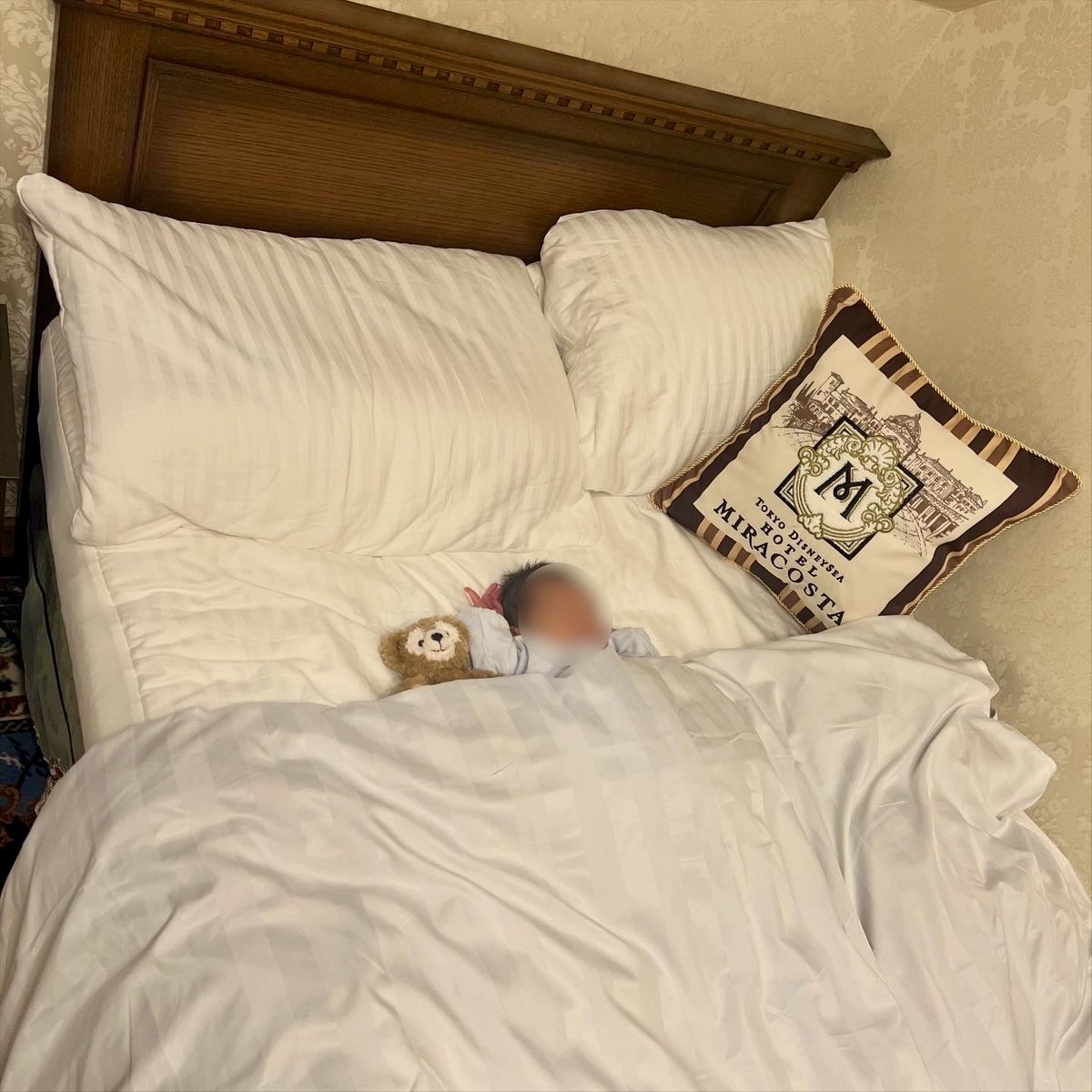 kawadarland's tweet photo. 【ご報告】
コウノトリに乗ってカワダーランドに新メンバーがやって来ました🐘

それが理由でここ1年ほどほぼDIY出来ずまともなツイートも出来ずすみません！🙇🏻‍♀️

最近整理していたミラコスタ部屋は子供部屋にする予定です🇮🇹

この家が普通だと思って育つ息子を
暖かく見守っていただければと思います！ https://t.co/Ln3Ls7Jbx5