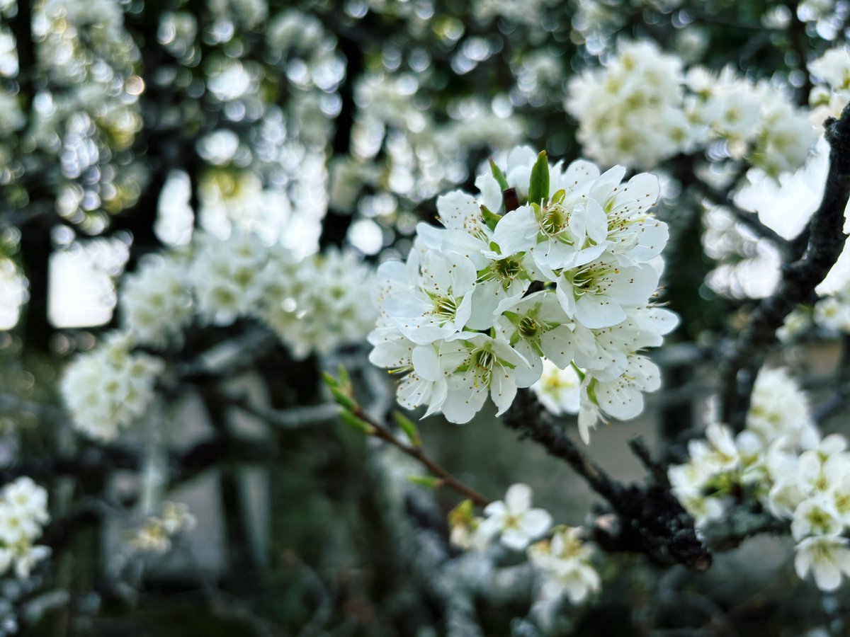 じょーじ tweet media