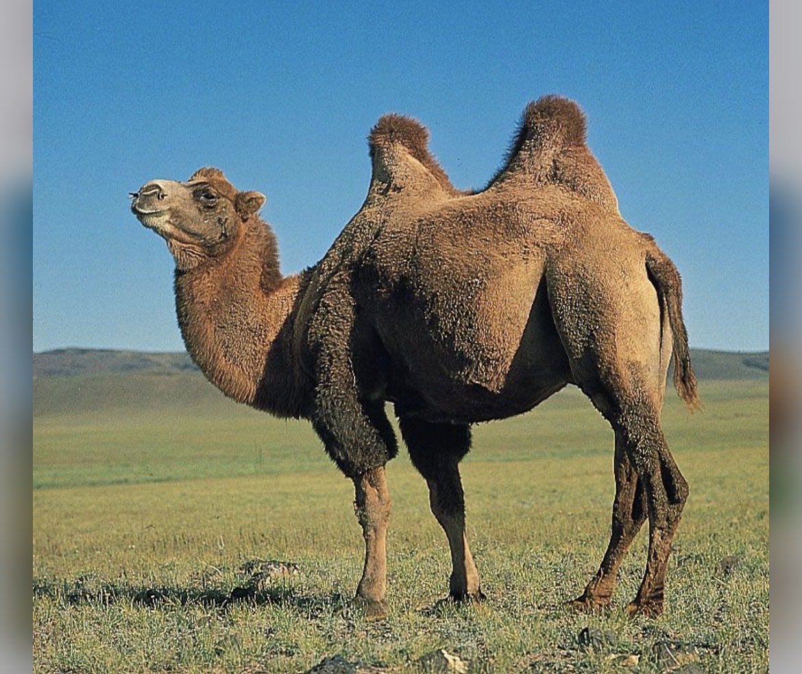 Don Estok tweet media