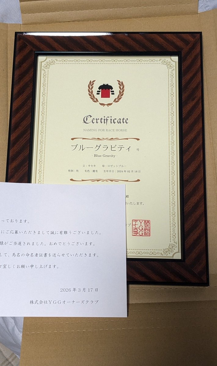 めがねざる tweet media