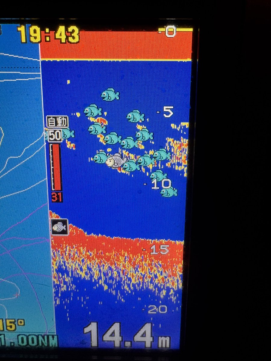 こじゃんと【デカハネGP】 tweet media