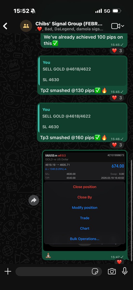 lifeofchibs tweet media