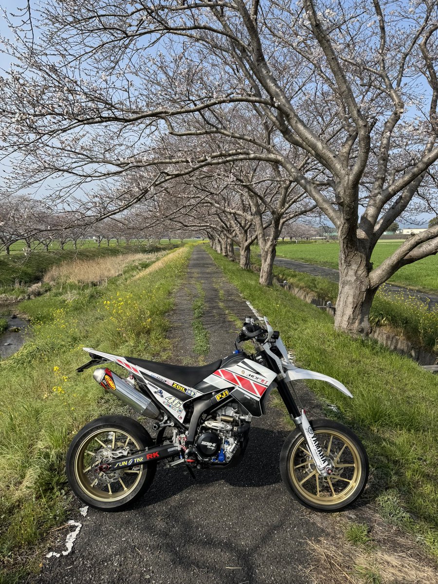 MASKEDRAIDER tweet media