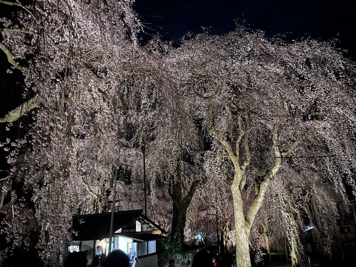 ならの tweet media