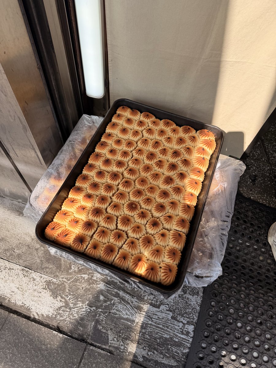 영희 ◡̈⃝♪♡ tweet media