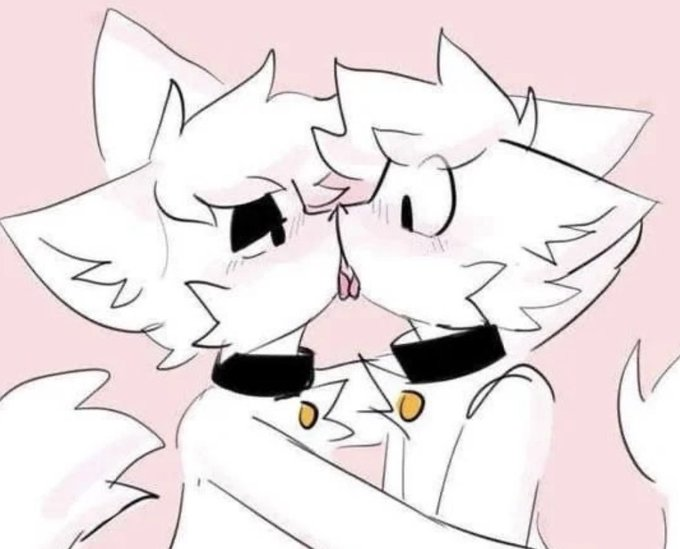 FurryFollowing tweet media