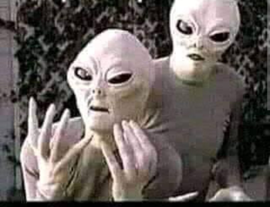 re indignado tweet media