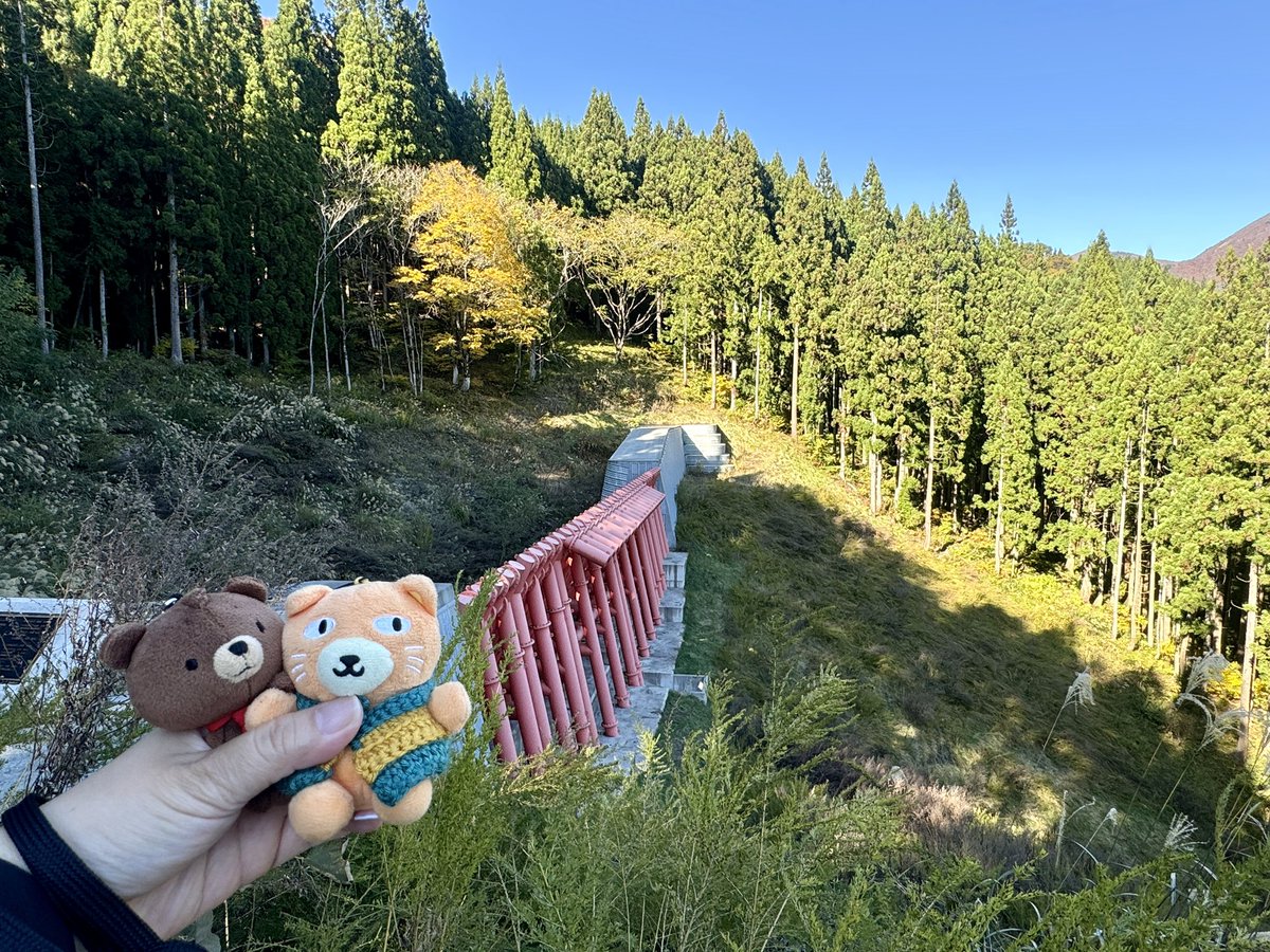 佳(よっしー) tweet media