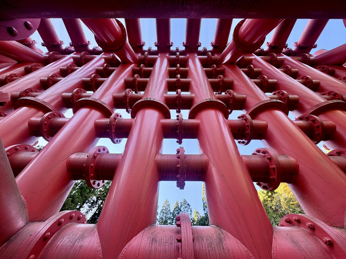 佳(よっしー) tweet media