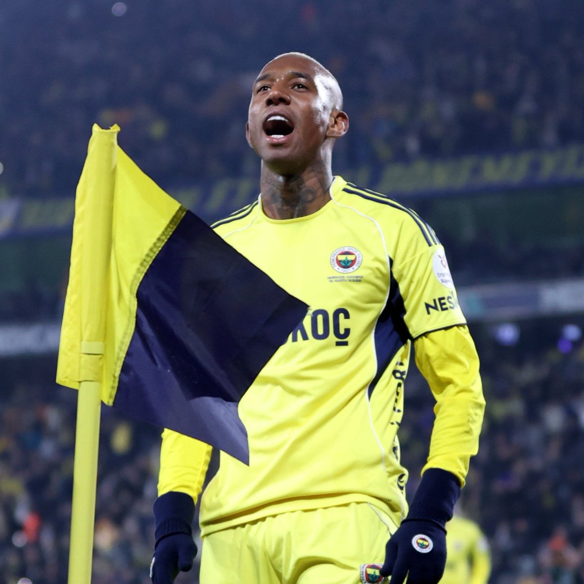 TURKINFORM tweet media