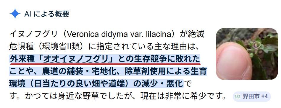 かえる tweet media