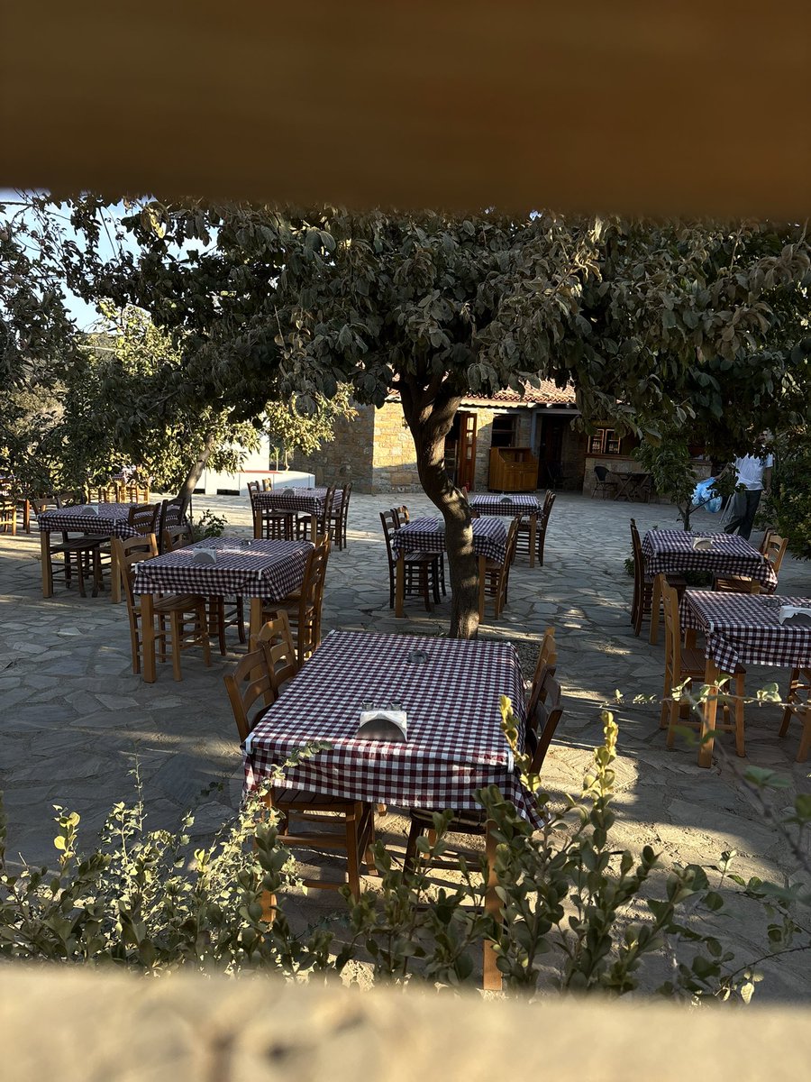 Ece Teacher tweet media