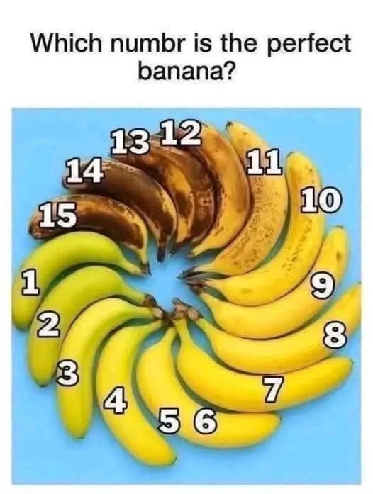 Jessica ❤️ tweet media