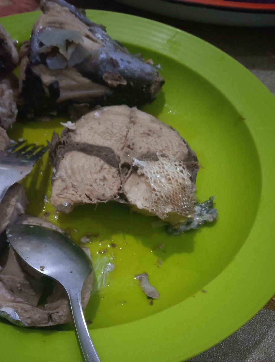 nara ✵ (tsu'jake #1 fan) tweet media