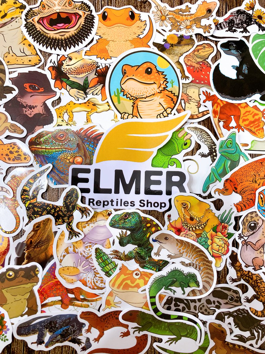 ELMER l エルマー@4/26(日) JH静岡 tweet media