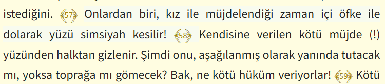 brazki SOL tweet media