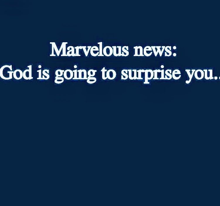 Blossoms🌻 (@blossomcourage) on Twitter photo 