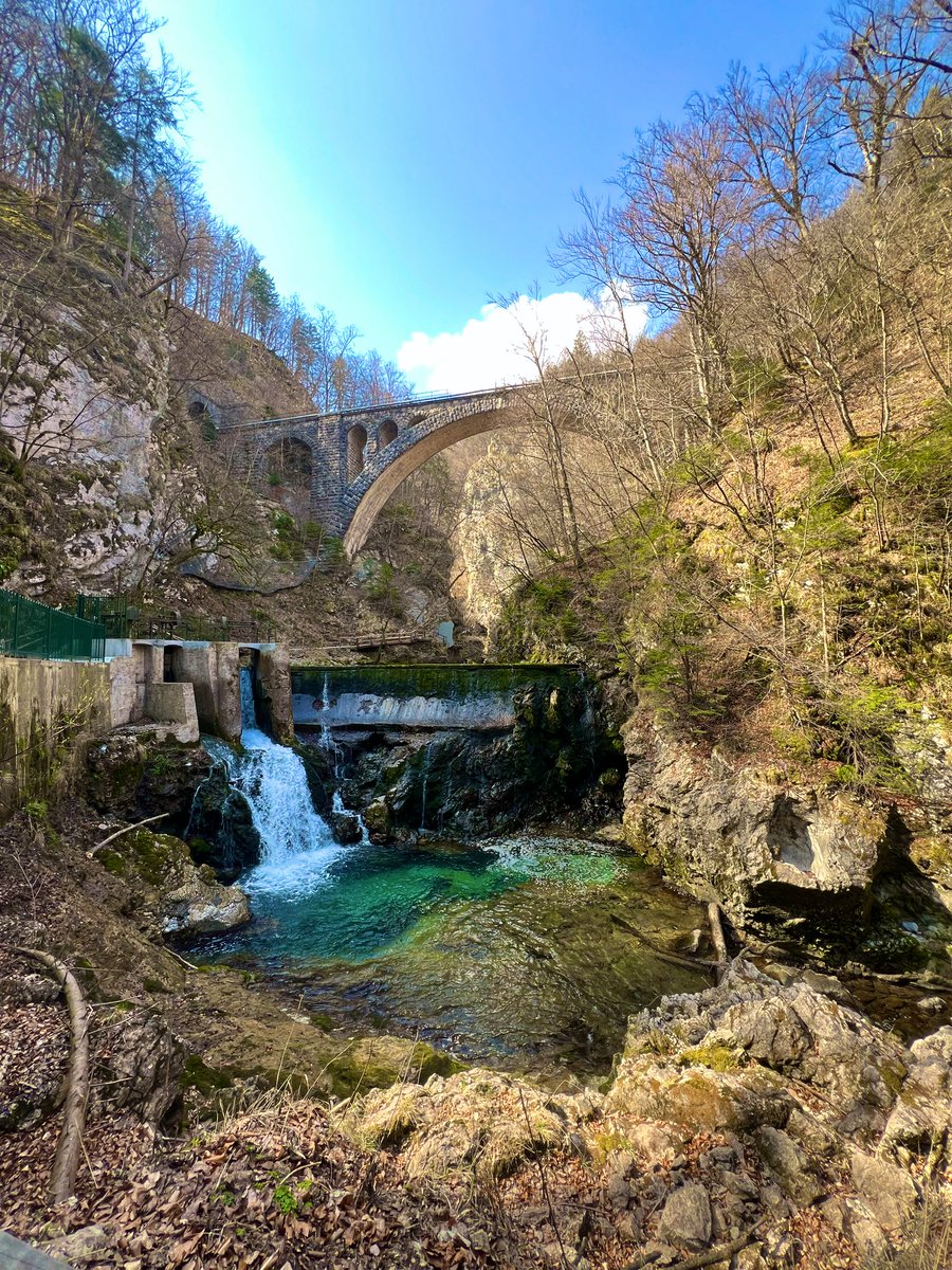 Josh Maskill tweet media