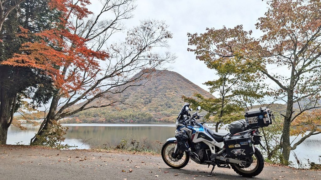 アトリ tweet media