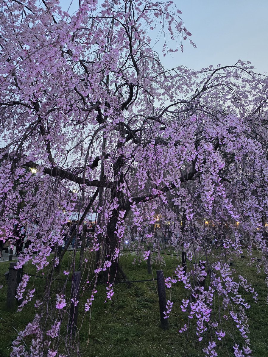 塩ぽい tweet media