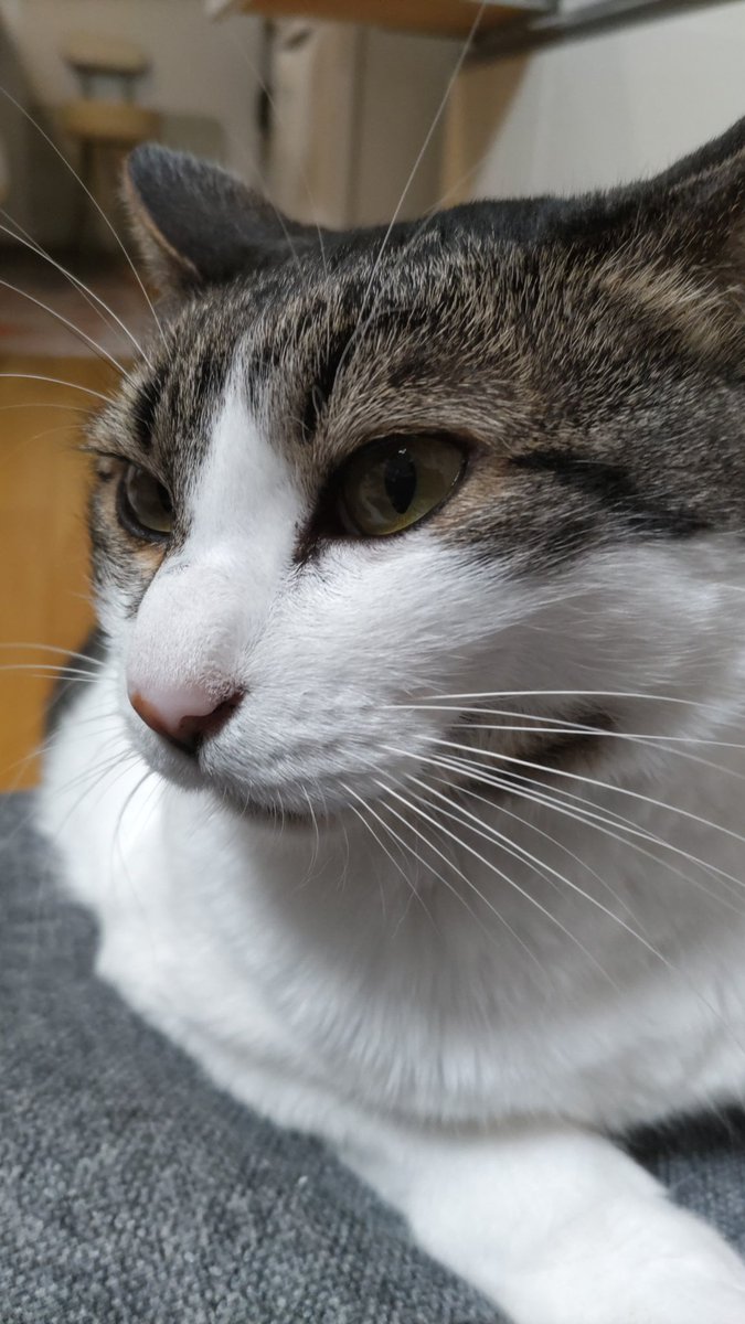 nao うつ病アカウント tweet media