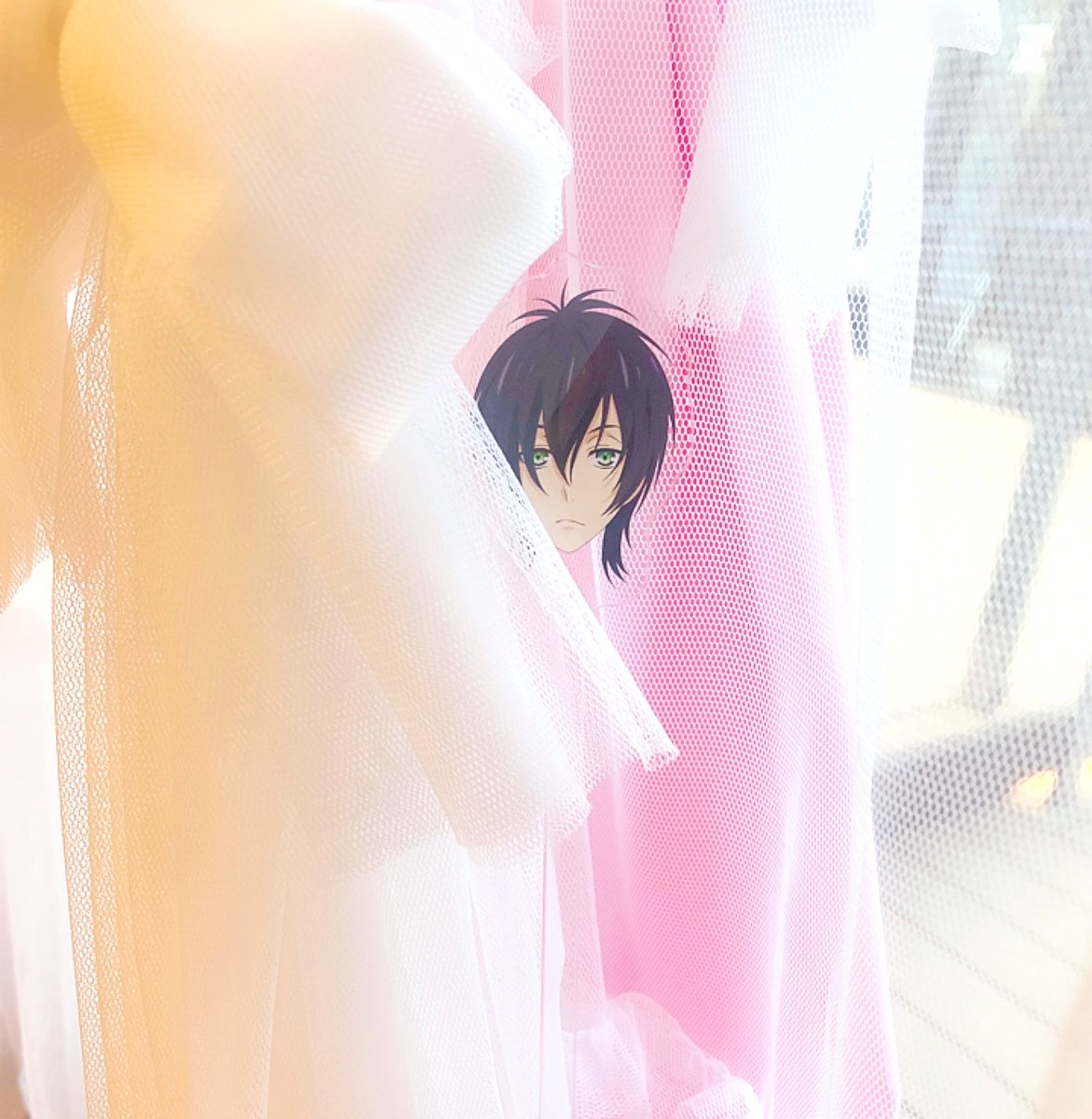 ゆきやなぎ tweet media