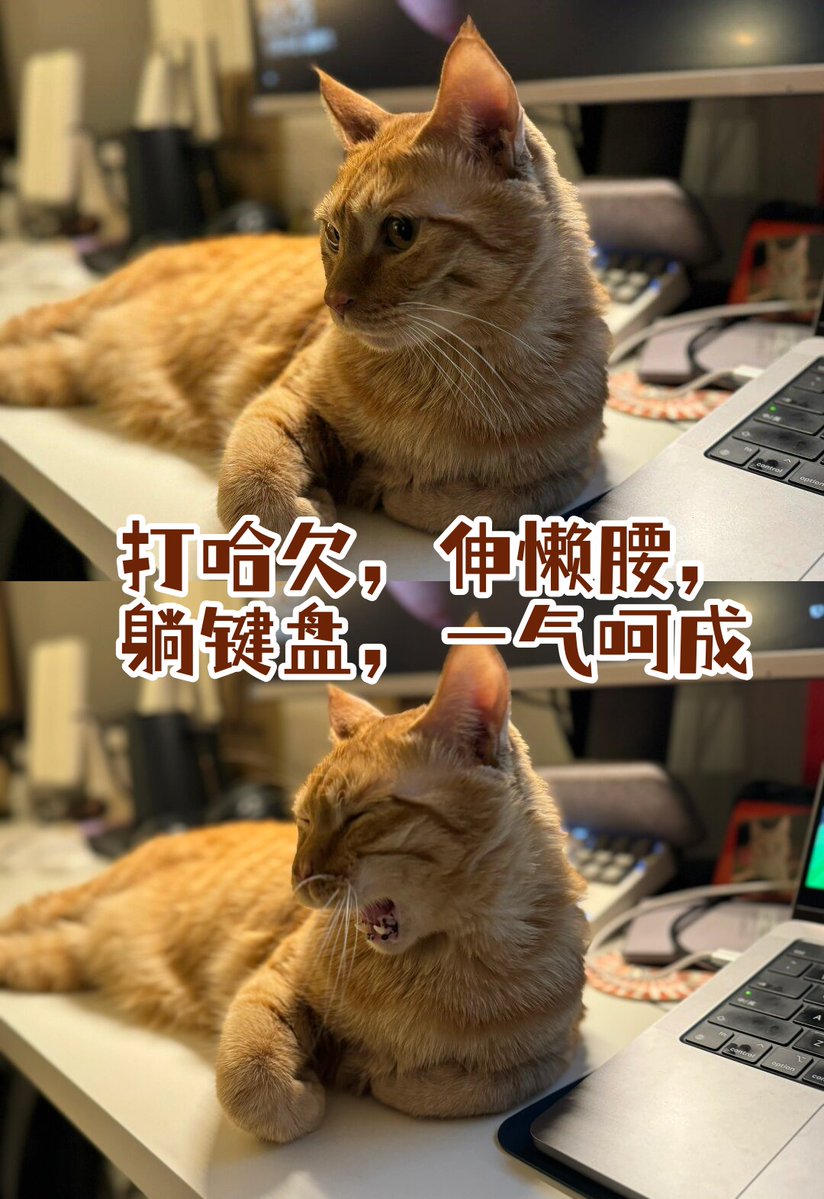 Armend Sahitaj tweet media