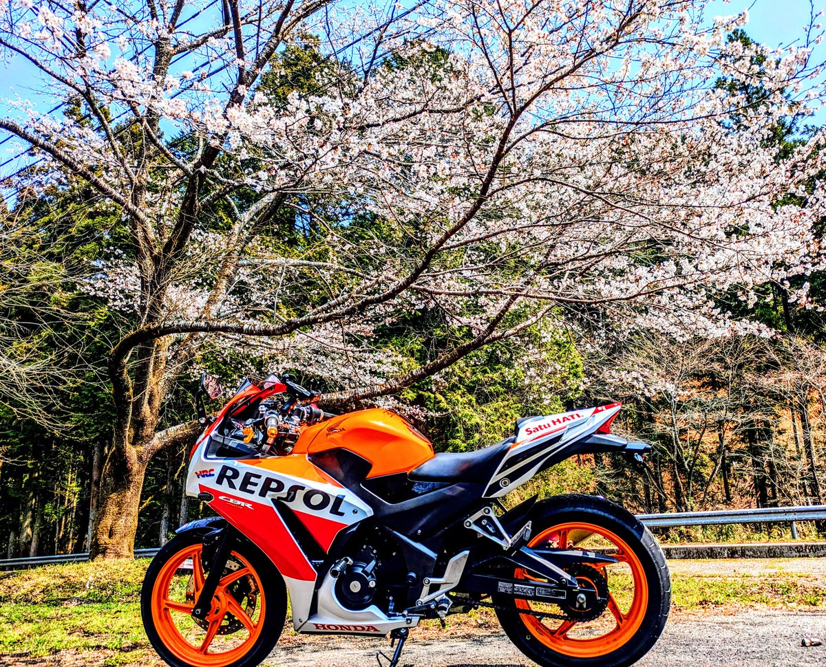 なっちゃん‎‎🌻 tweet media