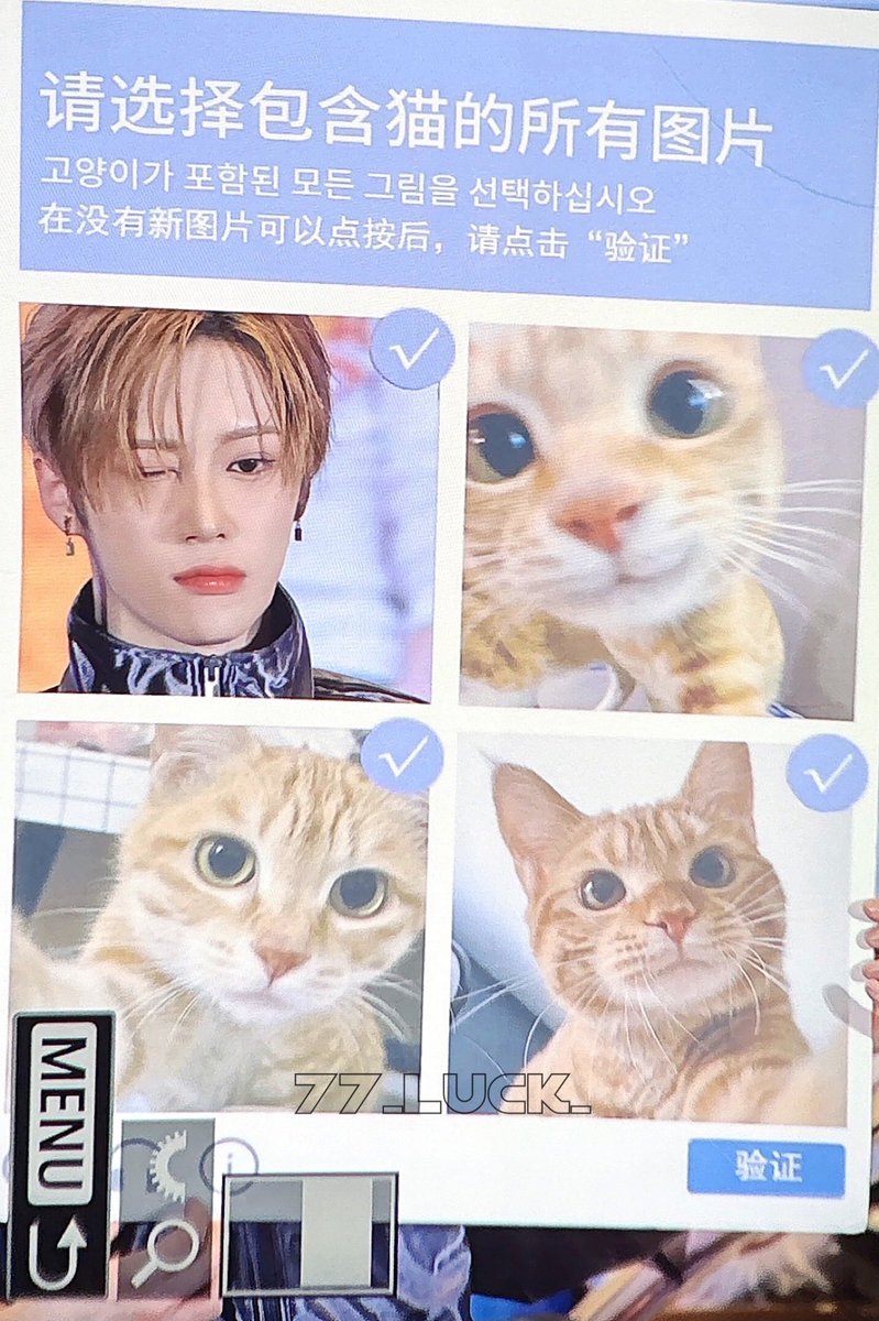 아르노 | ally 𓂃⋆.˚ (ia) tweet media