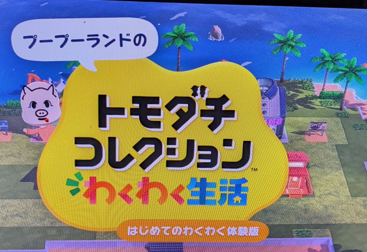 しんしん 24（本物） tweet media