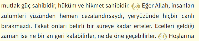 brazki SOL tweet media