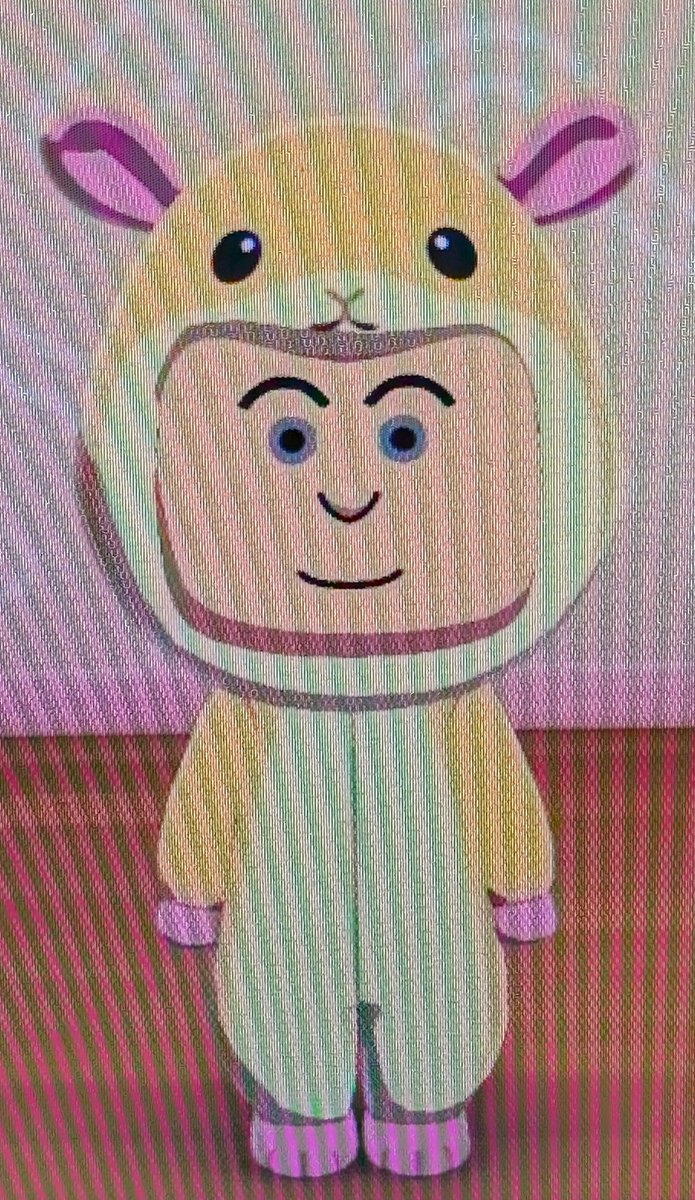 しんしん 24（本物） tweet media