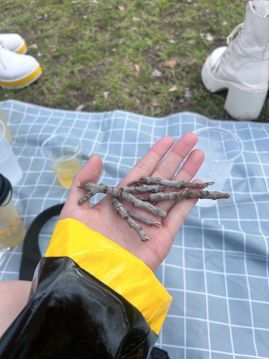 zero_k_0's tweet photo. お花見してたら隣のシートの方からお酒貰ったり、かわいい女の子から木の枝貰えたり
楽しかった🤙🏻 https://t.co/QQ7zhTzndj